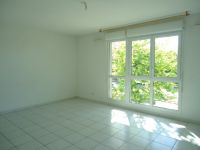 T1 31m²