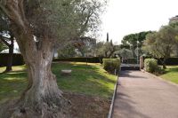 photo de l'annonce I-2392090 Appartement