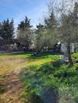 photo de l'annonce I-3548304 Terrain
