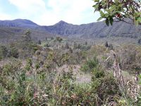 photo de l'annonce I-3513533 Terrain