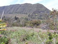 photo de l'annonce I-3513533 Terrain