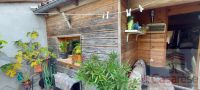 photo de l'annonce I-3518562 Appartement