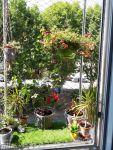 photo de l'annonce I-3519133 Appartement