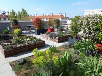 photo de l'annonce I-3519133 Appartement