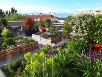 photo de l'annonce I-3519133 Appartement