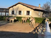 photo de l'annonce I-3521729 Maison / Villa