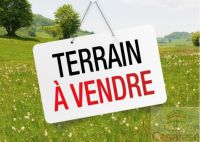 Terrain