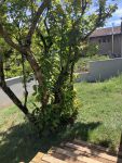 photo de l'annonce I-3544779 Appartement