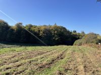 Terrain