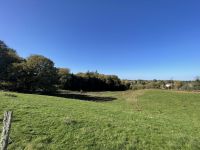 Terrain