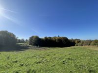 Terrain