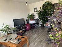 T2 54m²