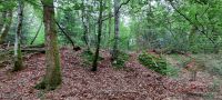 Terrain