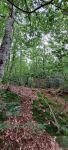 photo de l'annonce I-3536563 Terrain