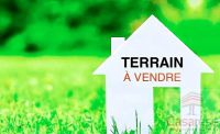 Terrain