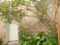photo de l'annonce I-1600697 Appartement