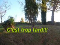 Maison 100m²
