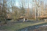 photo de l'annonce I-481910 Maison / Villa