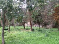 photo de l'annonce I-482177 Terrain