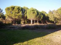 photo de l'annonce I-490569 Maison / Villa