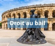 Bureau, local commercial 43m²