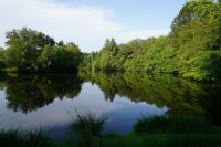 photo de l'annonce I-3549568 Prestige