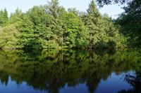 photo de l'annonce I-3549568 Prestige