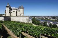 photo de l'annonce I-3554336 Appartement