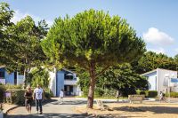 photo de l'annonce I-3554060 Appartement