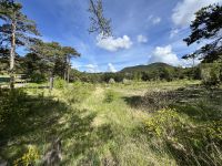 Terrain