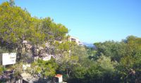 photo de l'annonce I-3526823 Appartement
