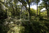 photo de l'annonce I-3518527 Terrain