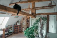 photo de l'annonce I-3558209 Maison / Villa