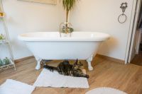 photo de l'annonce I-3558209 Maison / Villa