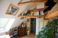 photo de l'annonce I-3558209 Maison / Villa