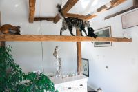 photo de l'annonce I-3558209 Maison / Villa