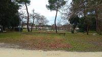 photo de l'annonce I-3542869 Appartement