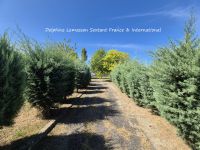 photo de l'annonce I-3558662 Maison / Villa