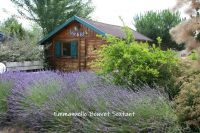 photo de l'annonce I-3559810 Prestige