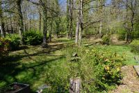 photo de l'annonce I-3558243 Maison / Villa