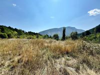 Terrain