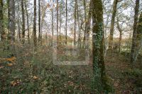 photo de l'annonce I-3522210 Terrain