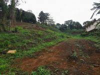 photo de l'annonce I-3521941 Terrain