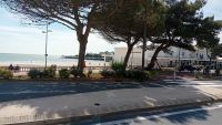 photo de l'annonce I-3526888 Appartement
