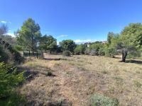 Terrain