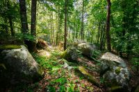 photo de l'annonce I-3553861 Maison / Villa