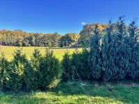 photo de l'annonce I-3558673 Maison / Villa