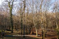 photo de l'annonce I-3559351 Maison / Villa