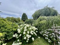 photo de l'annonce I-3553932 Maison / Villa