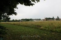 Terrain